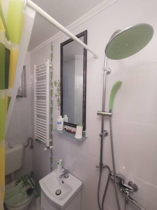 Appartamento Tth Apartament Timisoara Esterno foto