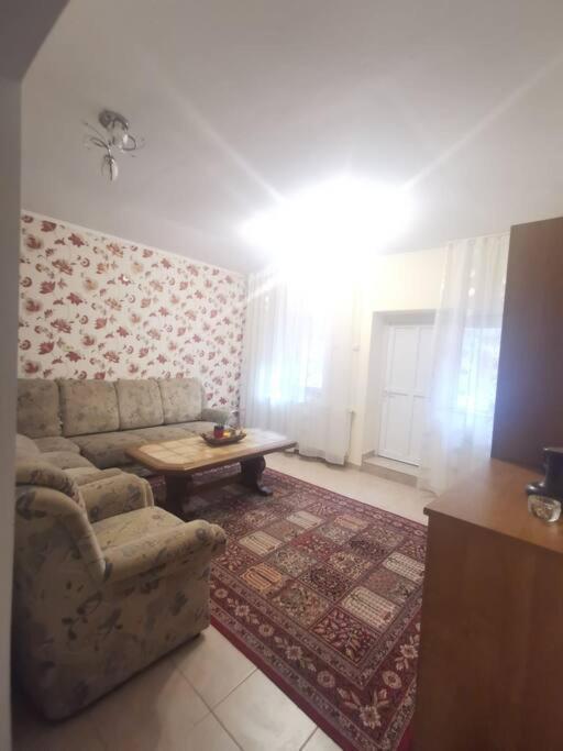 Appartamento Tth Apartament Timisoara Esterno foto